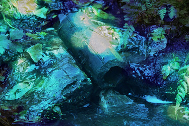 Shifting Waterscapes