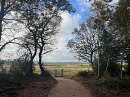 National Trust Killerton