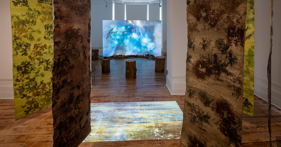 The Shifting Waters exhibition at Thelma Hulbert Gallery