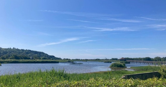 Blue sky over Seaton Wetlands