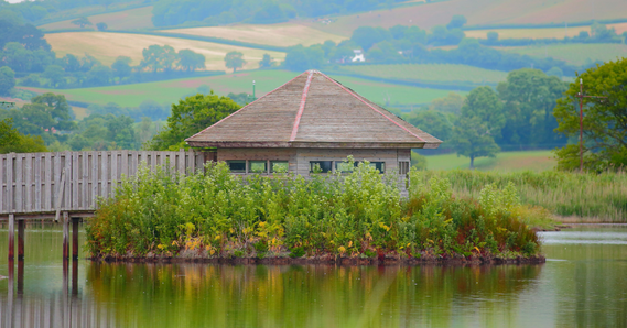 Island Hide at Seaton Wetlands
