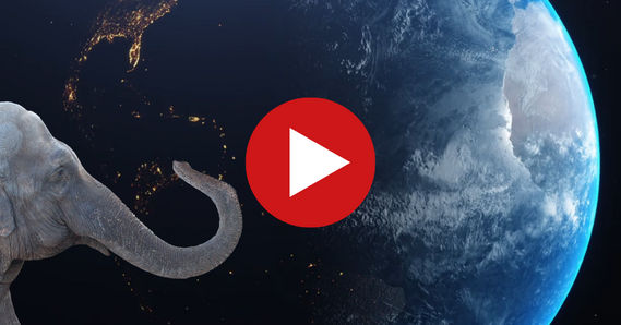 Planet earth from space. Elephant. Play button