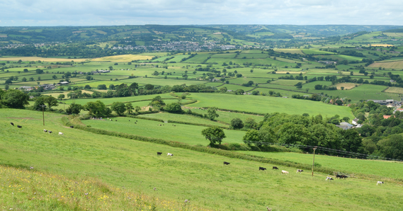 Farmland at the Axe Valley in East Devon