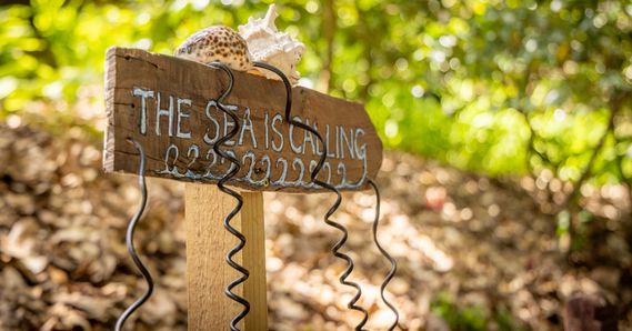 The sea is calling on a wooden signpost with sea shells on top and wires hanging from it