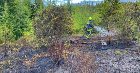 A firefighter spraying a hose of water in a burned area of woodland