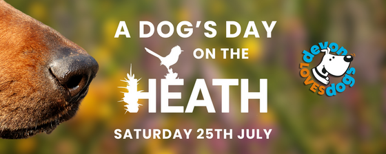 A Dog's Day on the Heath Banner