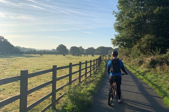 cyclist