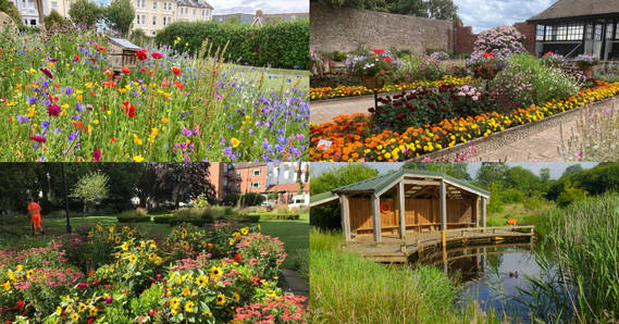 Top left: Seafield Gardens. Top right: Connaught Gardens. Bottom left: Manor Gardens. Bottom right: Seaton Wetlands