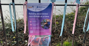 Pink and blue ribbon display at Connaught Gardens in Sidmouth