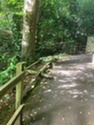 Glen Goyle walk, trees, fences, and path