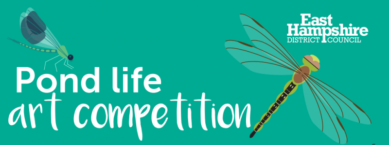 Pond Life Art Competition