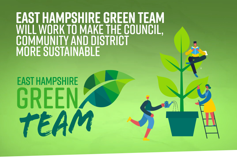 tbd green team  animation