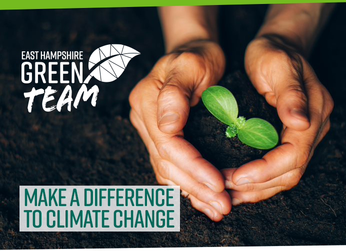 tbd green sprouting hands