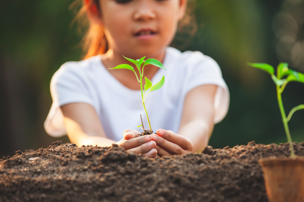 Child holding plant in hands