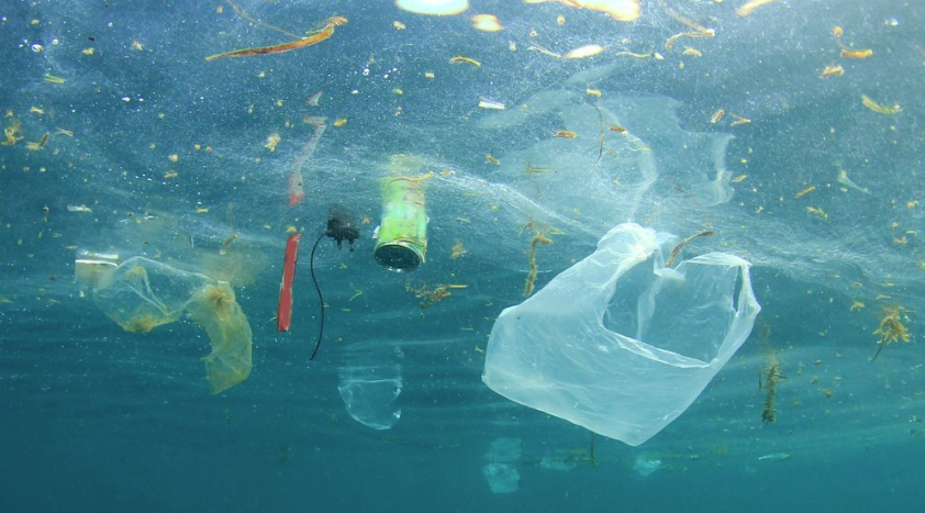 Floating rubbish in water