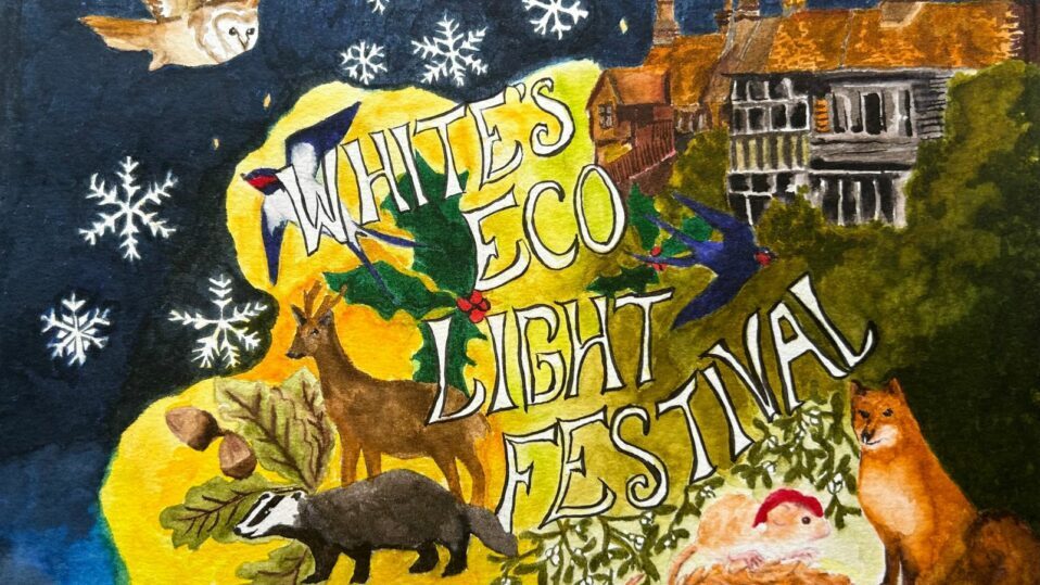 White's Eco Light Festival illustration