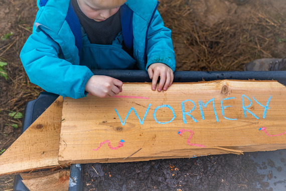 Petersfield Tree Festival