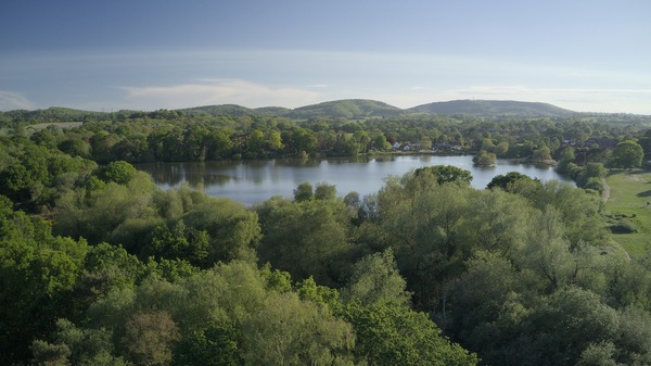 Petersfield Heath (owned by Ben Evans)