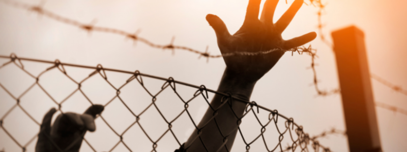 Hands reaching up against a wire fence