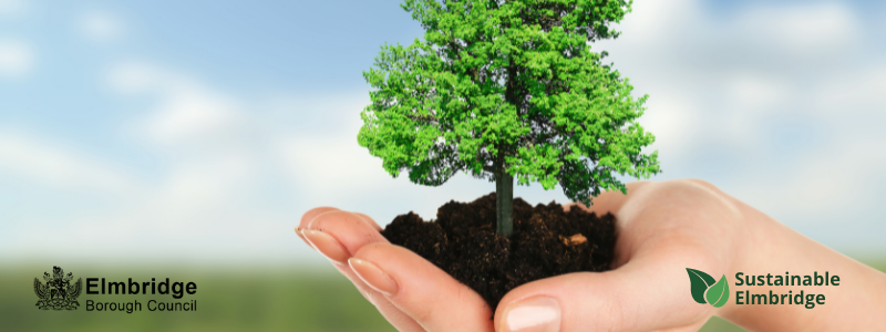 Sustainable Elmbridge