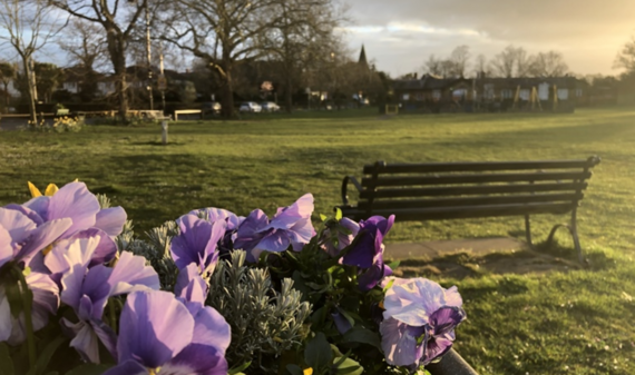 A park bench with purple flowers in the foreground.