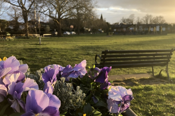 Park bench with purple flowers