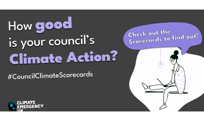 Graphic with a drawing of a person on a laptop with text that reads: "How good is your council's climate action?"