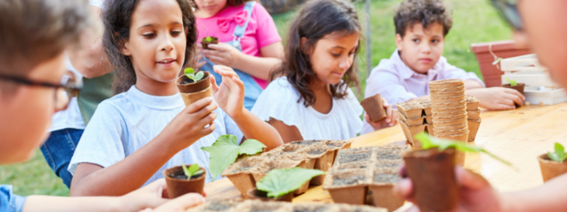 Children planting up seedlings