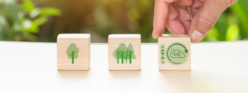 A hand holding a wooden block with an image of a dial turning down co2, the other blocks have an image of a tree and several trees.
