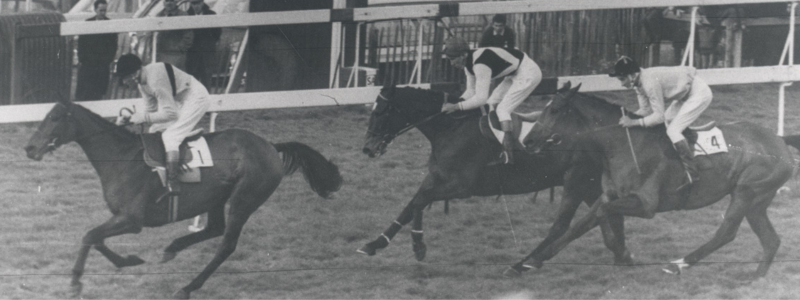 Sandown park racecourse