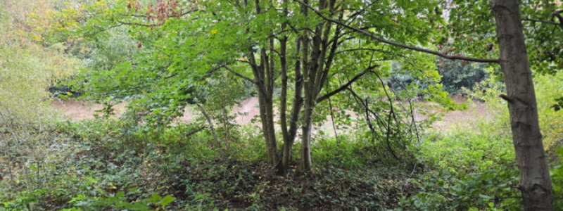 Brooklands community park works