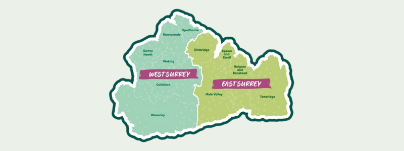LGR East and West Surrey map