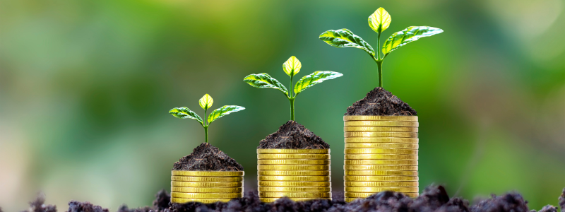 Gold coins stacked up on soil with plant growing out of the top