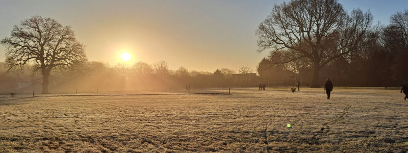Frosty Claygate Common