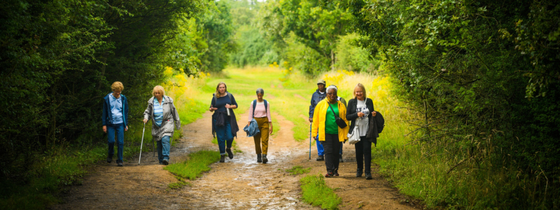 Image of a gropup of people walking in a field