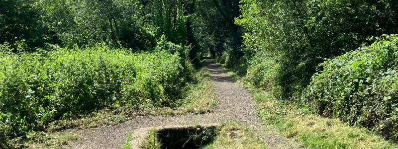 Image of countryside 