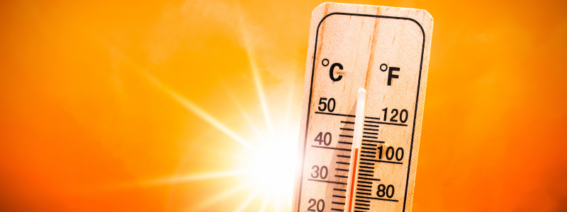 Heatwave