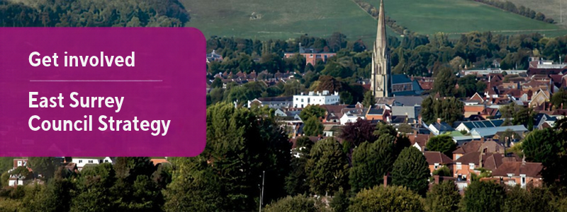 East Surrey council survey logo