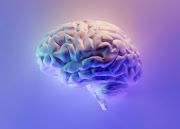 Brain image - credit: unsplash, Milad Fakurian