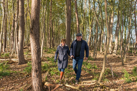 Woodland Walk South Cliff