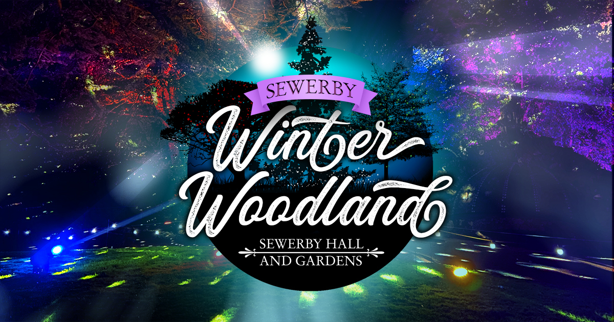 Sewerby Winter Woodland