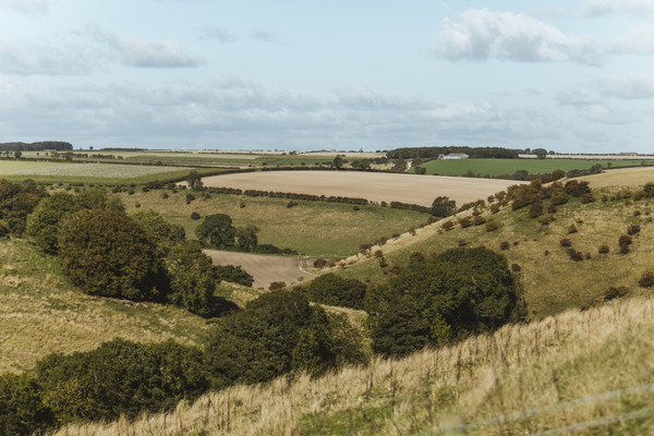 Yorkshire Wolds Way