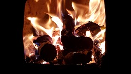 Wood burning fire