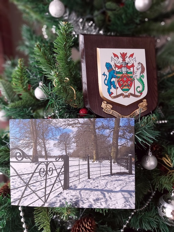 picture of a snowy scene with trees against a blue sky