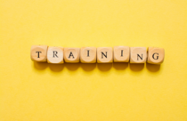 A photo of wooden squares spelling "Training" on a yellow background