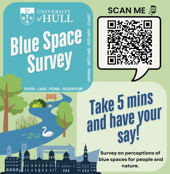 Blue Space Survey Poster