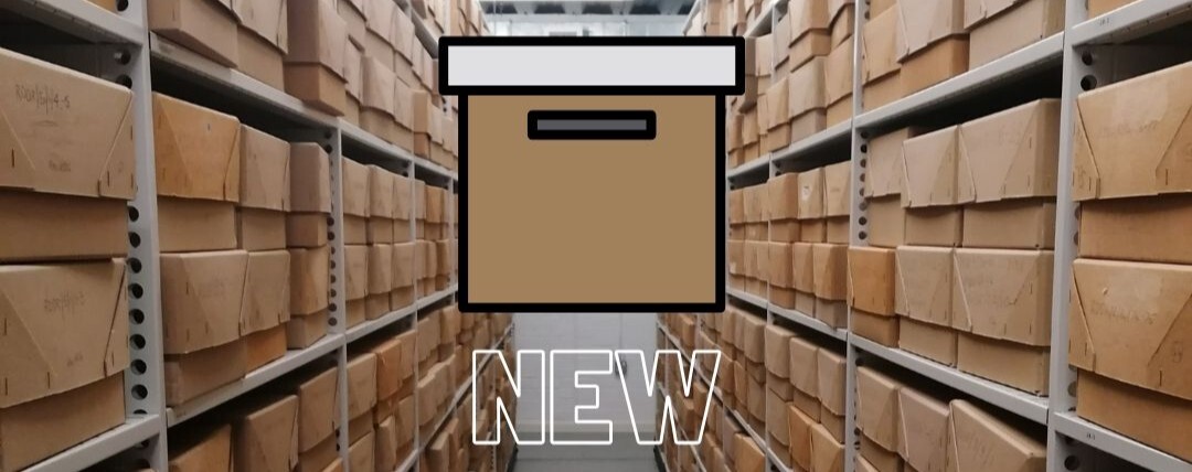 New Collections header image