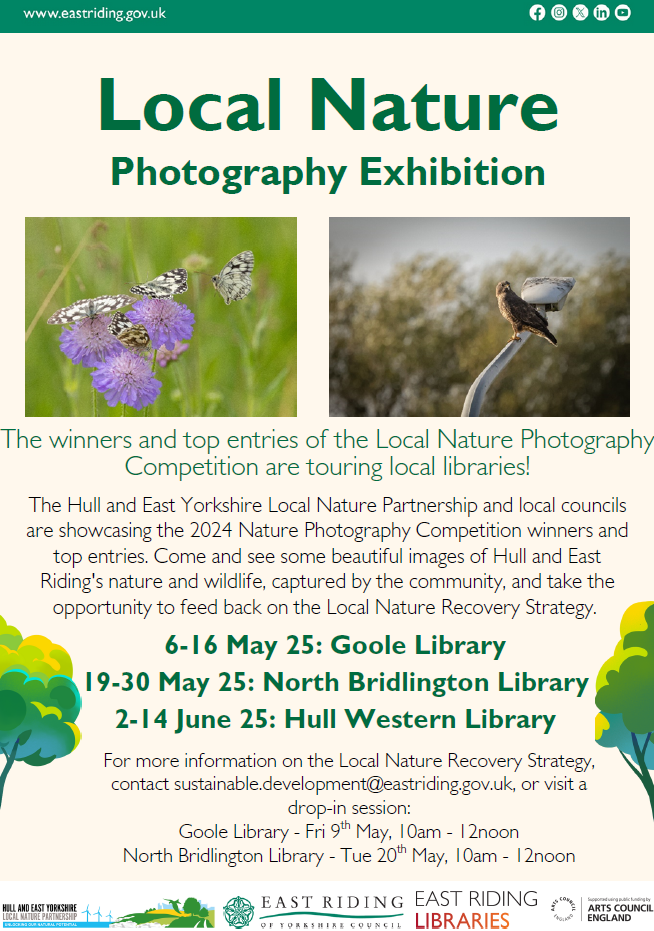 Photography Competition Exhibition Poster