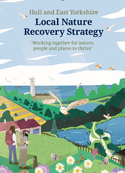 HEY LNRS document front cover