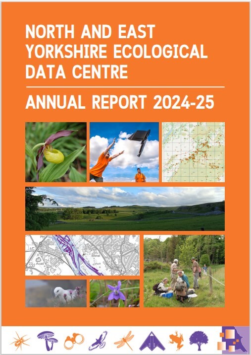 NEYEDC Annual Report cover